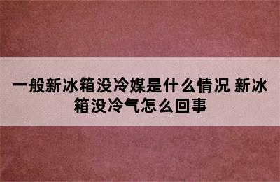 一般新冰箱没冷媒是什么情况 新冰箱没冷气怎么回事